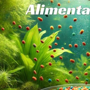 Cómo alimentar guppys recién nacidos